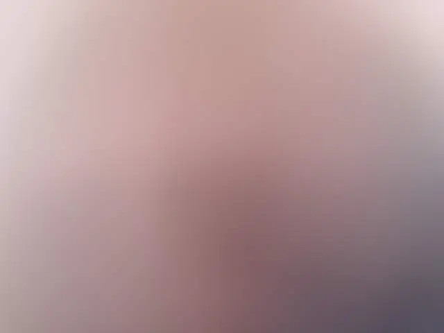 Lik29Quickfun image 3